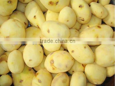 New type automatic electric potato peeling machine