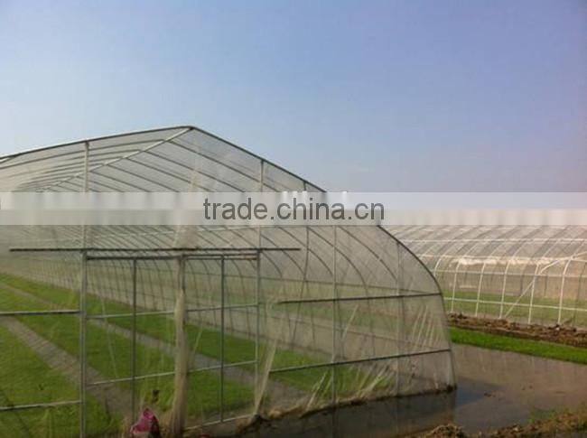 agriculture insect proof mesh net for greenhouse