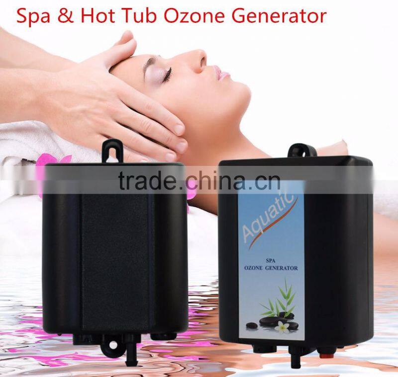 BWT Water Products 5 g/h Pool Ozone Generator for Swimming Pool