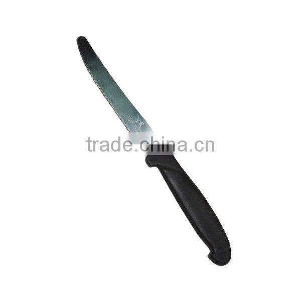 KN2100 12 pcs plastic handle paring knife
