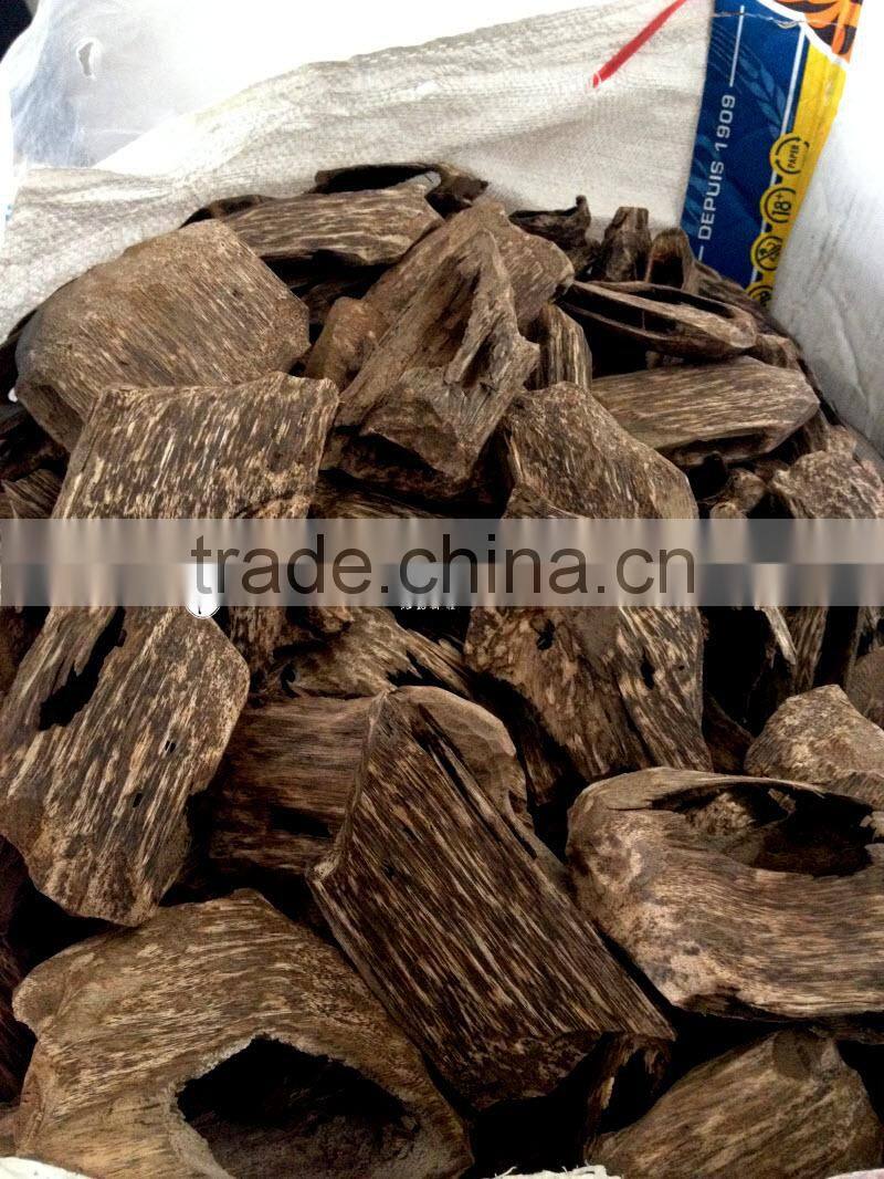 Special Vietnamese Oudh Chunks from Vietnam