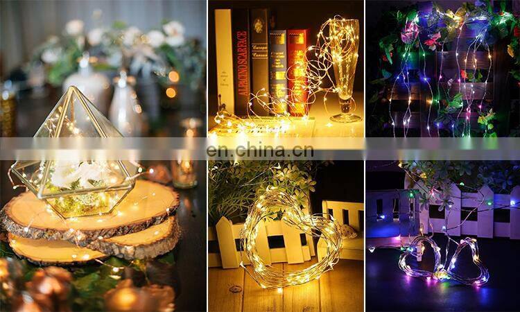 Products 10M 100 LEDs Remote Controlled Led String Lights