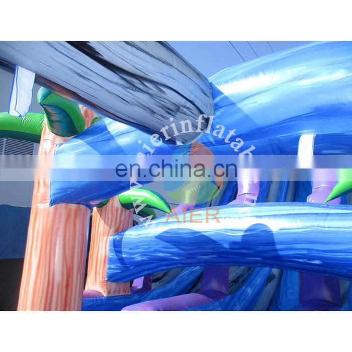 New fashion giant inflatable water slide,inflatable Colorful water slide,Double Tube Inflatable Water Slide