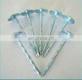 Hot Sale Twist Roofing nail(SW-043B)