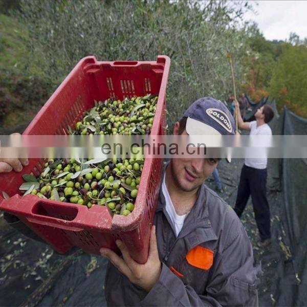 Greece Popular Olive Protection and Harvest Nets with UV stabalizer