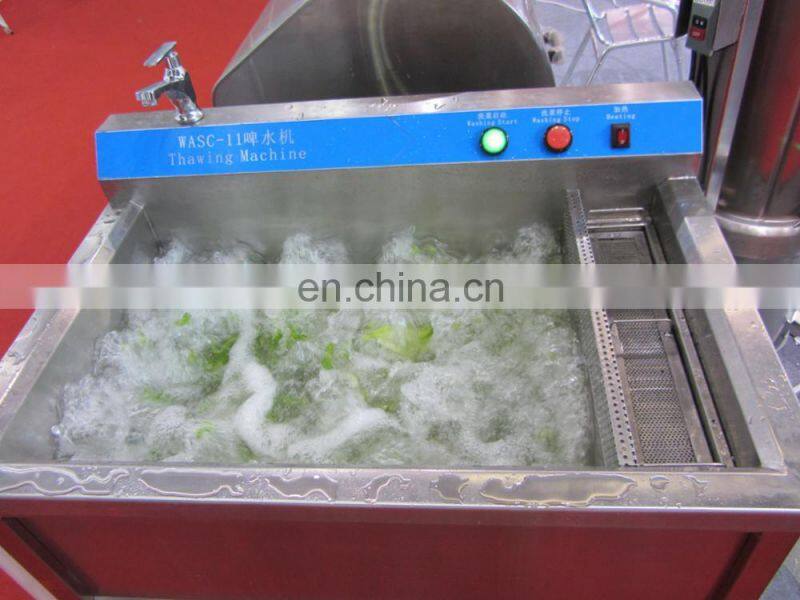 CE Qualified Commercial Frozen Meat Thawing Machine with Heating Function