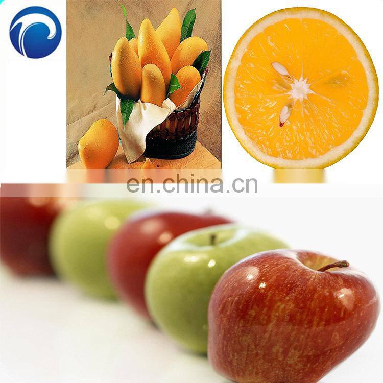 industrial mango juicer extractor, mango juice extractor machine