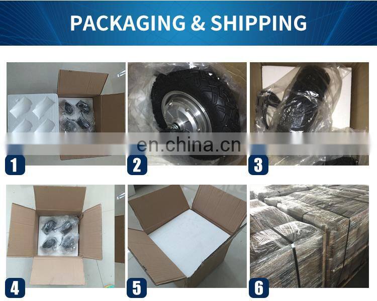 10 Inch 250W 350W 500W 800W Wheel Hub Motor