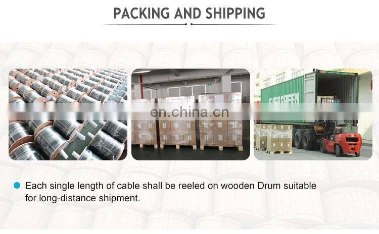 Shenzhen Hanxin Factory Anatel Certificate FTTH drop flat cable 1/2/4 core G657A G652D fiber optical Wire cable
