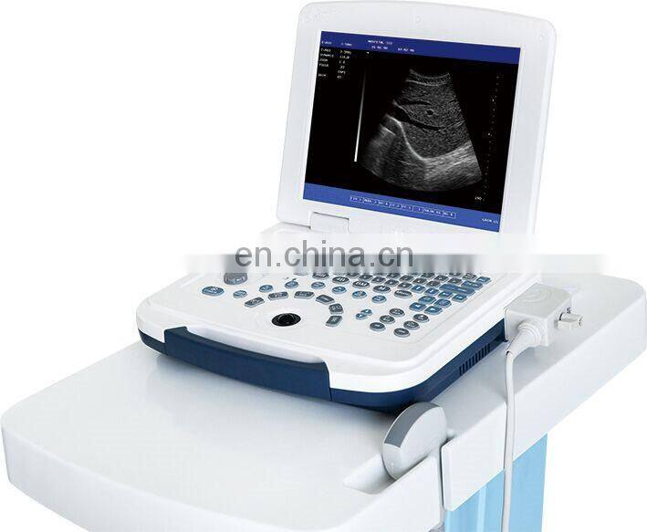 HC-A003VET Animal Portable Price Dog Veterinary Ultrasound scanner Machine for Cows