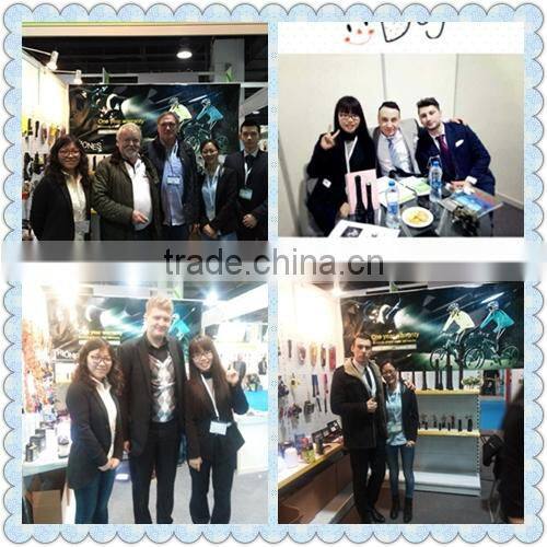 (120428) Hot Selling Super Bright 30led hanging camping tent lighting