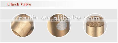 bronze forged check valve