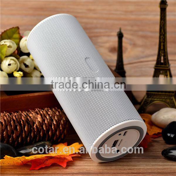 Factory Supply OEM Wireless Bluetooth Speaker With Usb Charger