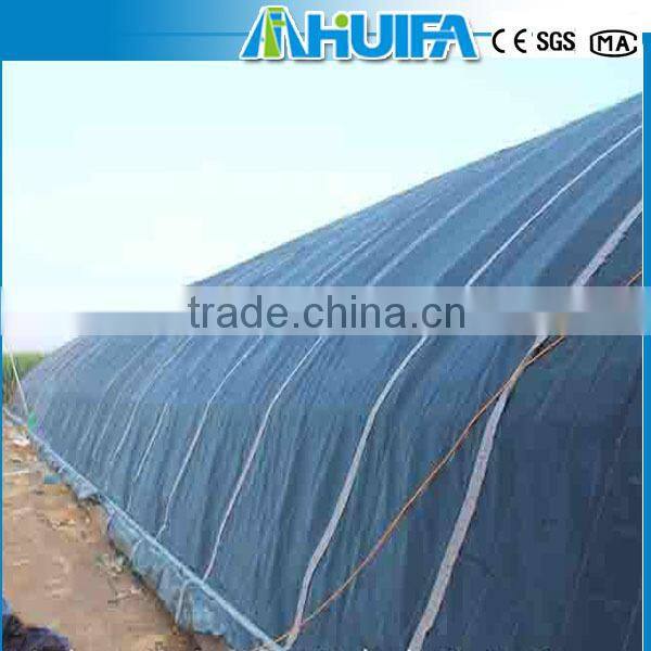Agricultural Solar Green house For Tomatoes