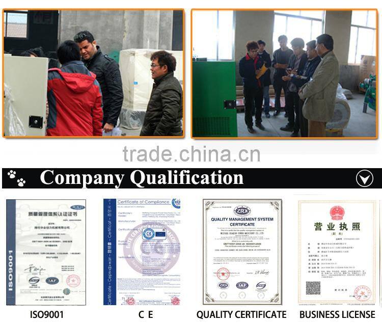 CE Approve small power biogas generator 50kw