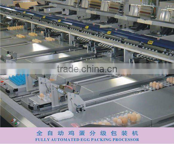 Full-Auto Egg Grading Machine