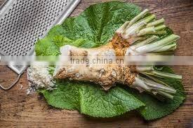 hot sale mazuma raw wasabi paste