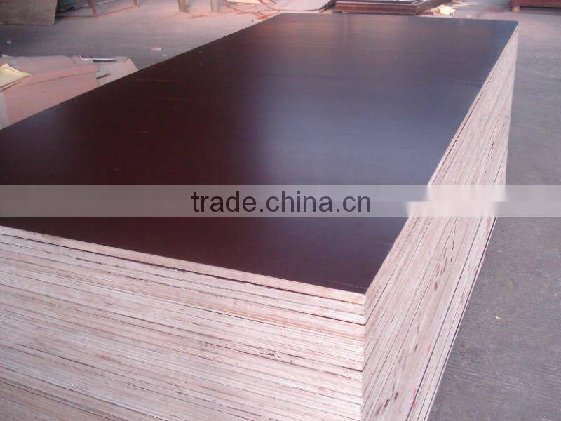 Brown film coated plywood-- poplar core