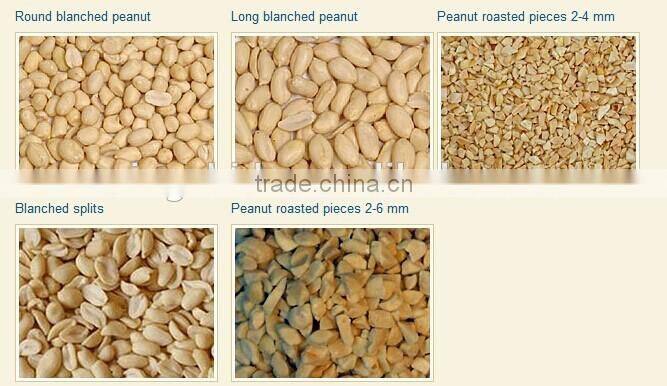 Roasted and Salted Blached Peanut