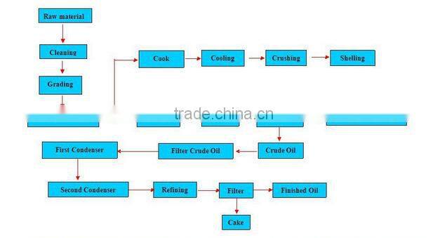 cold oil extraction machine/ oil extraction equipment