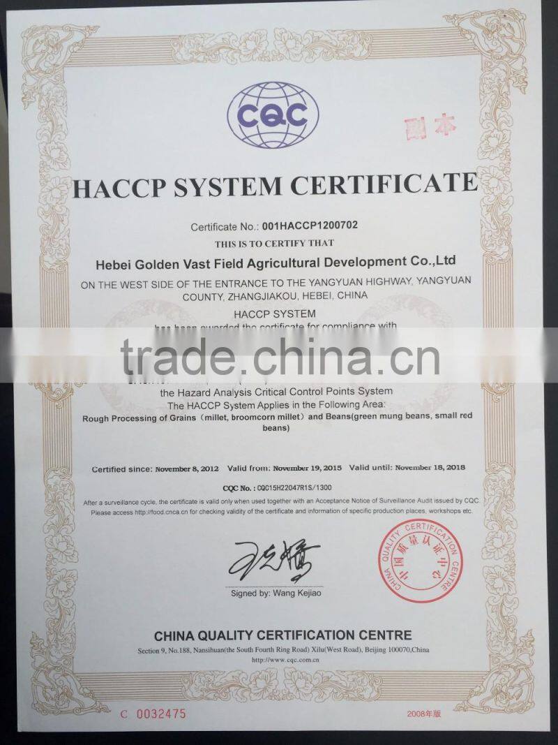 Brown Flax Seeds With Best Price