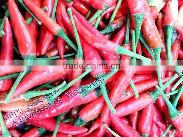 VIETNAM HOT PEPPER CHILLI +84963818434 whatsapp