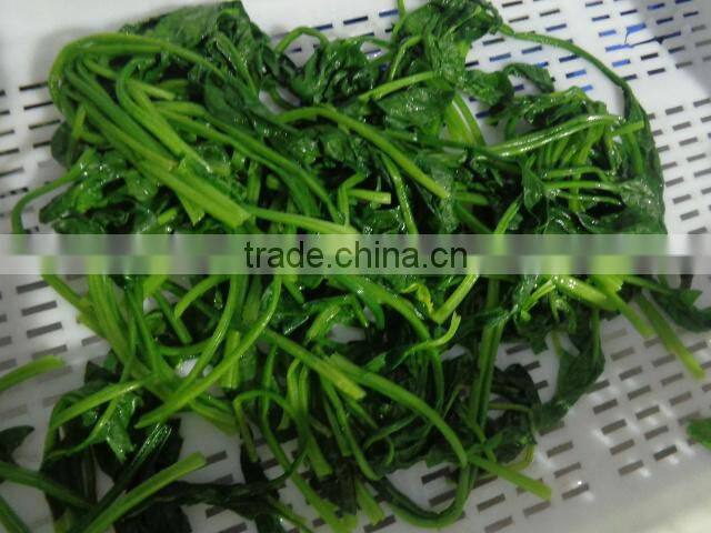 New season frozen spinach import frozen vegetable