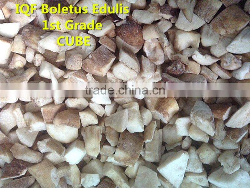 quick frozen porcini mushroom