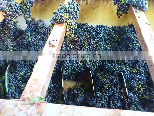 China automatic grape destemmer with pump for fresh grape