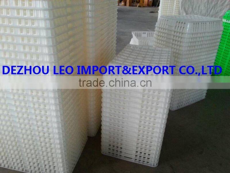 European Union hot selling plastic chicken transport box
