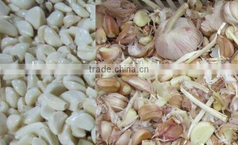 Belt Type CCD Camera Color Sorter for Garlic 086 371 65866393