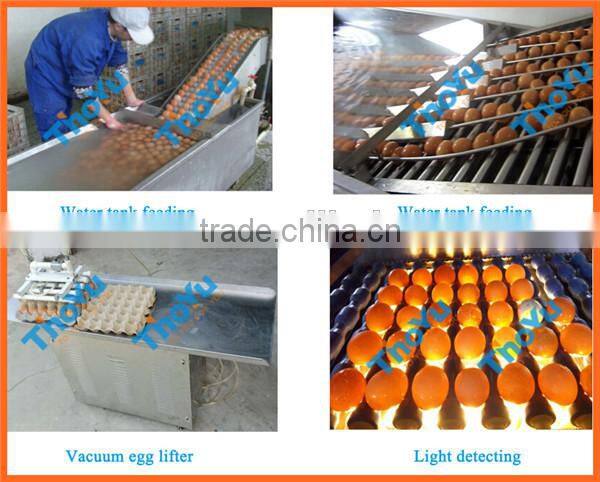 Hot Sale Easy Operation Hen Egg Separation Machine from Thoyu Machinery(SMS: 0086-15903675071)