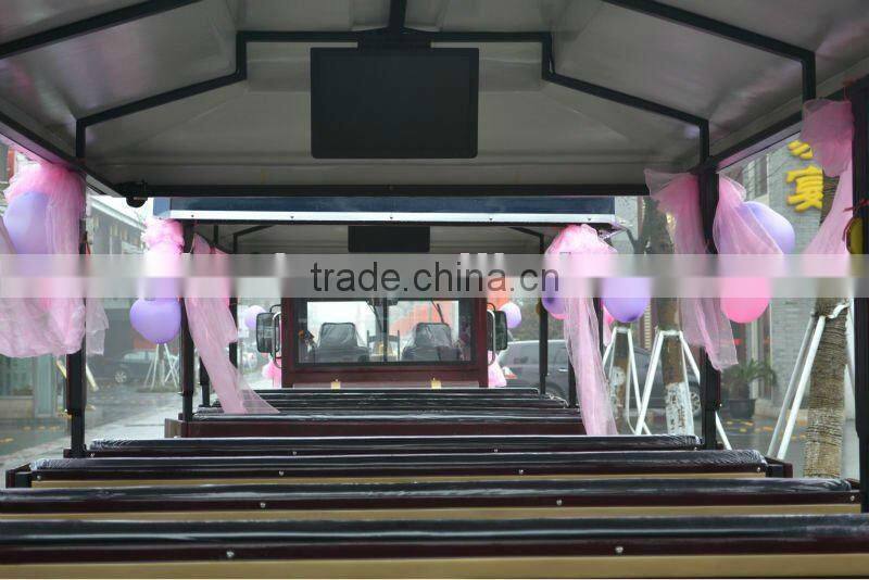 Popular Amusement Park Train