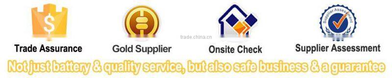Factory Price OEM 48v 50ah lifepo4 battery pack 48v 12ah lifepo4 battery pack with BMS Charger