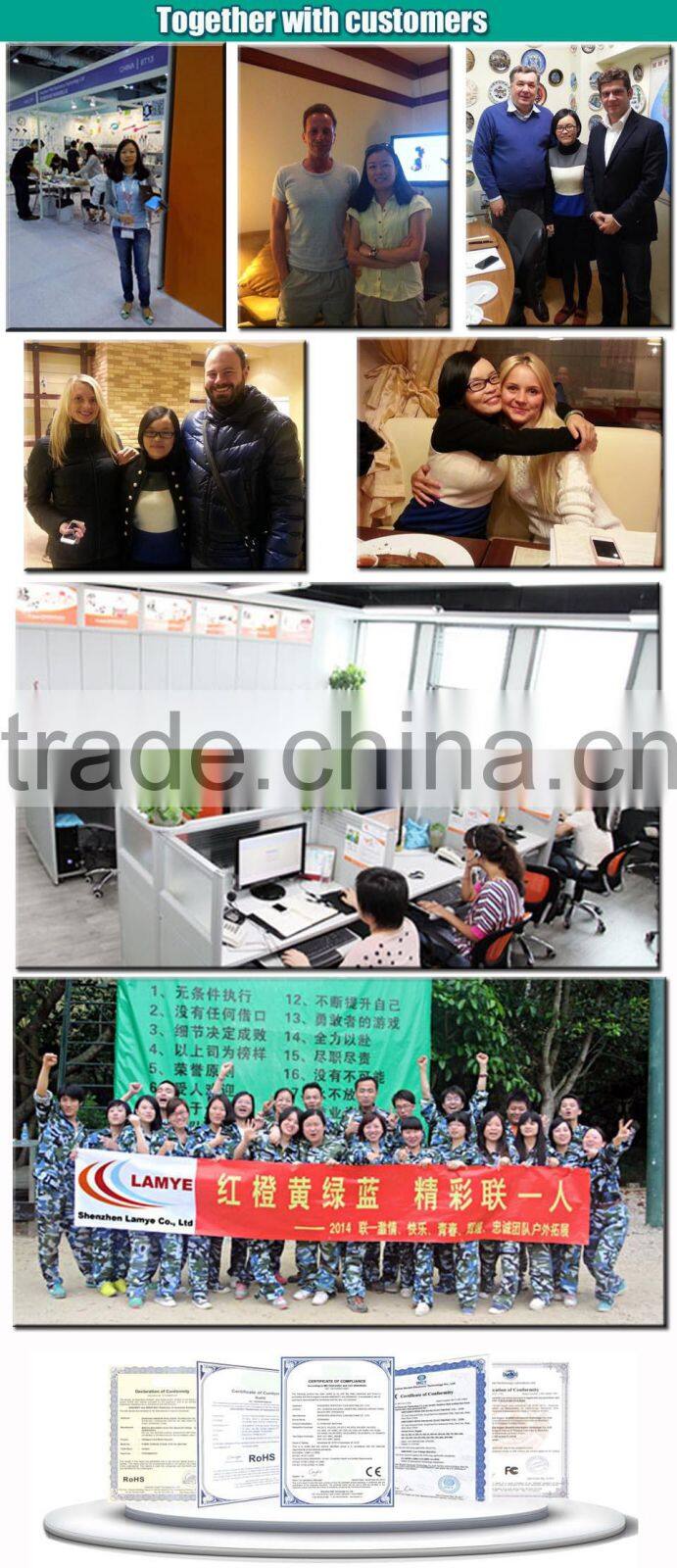 Factory Price OEM 48v 50ah lifepo4 battery pack 48v 12ah lifepo4 battery pack with BMS Charger