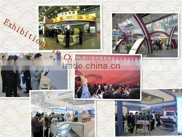 Hons+ CCD color sorter for flax seeds