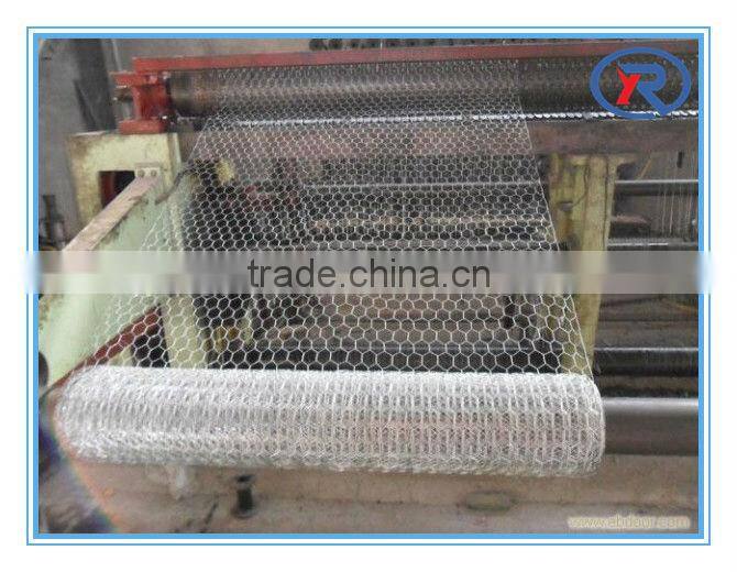 China lowest price galvanized hexagonal wire netting/decorative chicken wire mesh