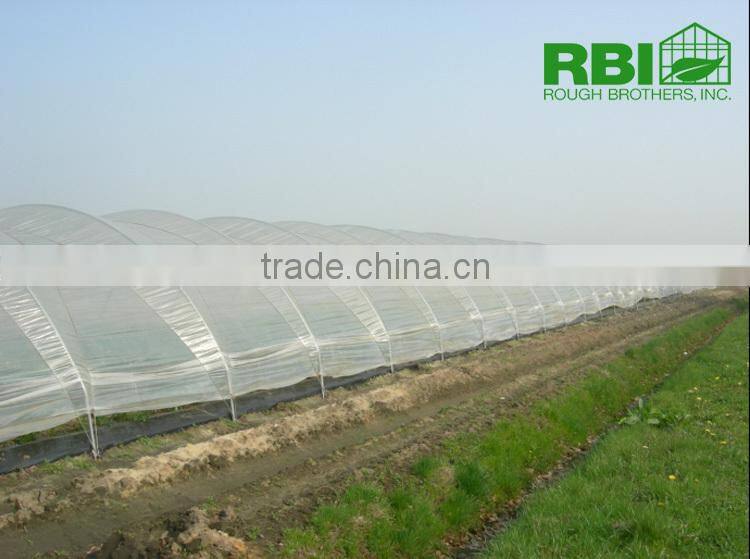 Tunnel plastic Greenhouse for agriculture low cost