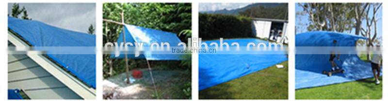 high quality china plastic pe tarpaulin supplier