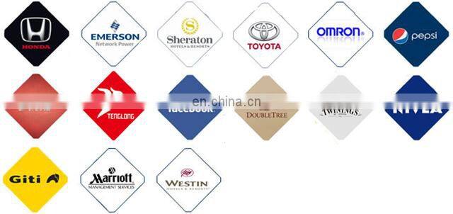 Plush keychain toy cute stuffed raccoon keychain toy