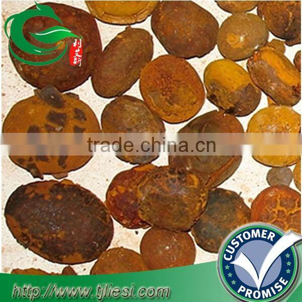 supply 2016 cattle ox cow gallstones bezoar with low price