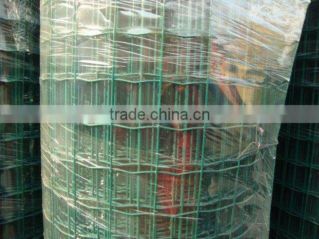 Dutch welded wire mesh(factory and seller)