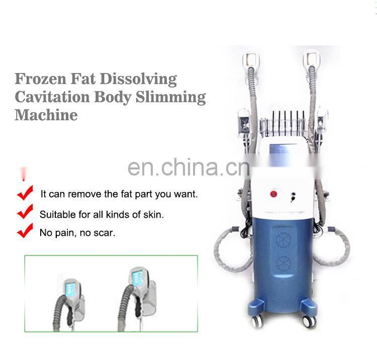 2022 new product fat freezing machine cryolipolysis/cryolipolysis machine with 4 handle