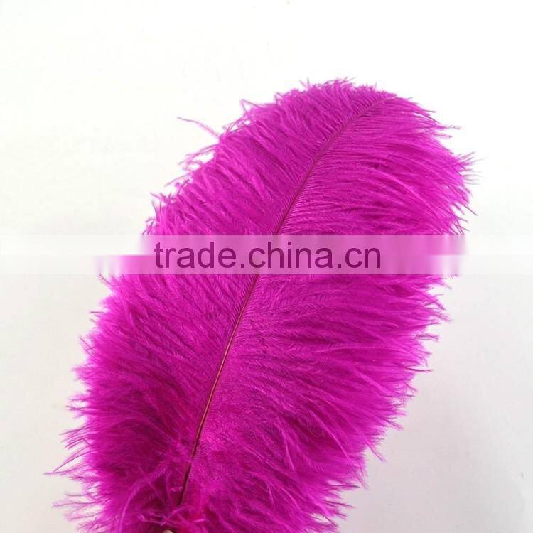 New Style Natural 10-12 Inch Ostrich plumes for party Decorations