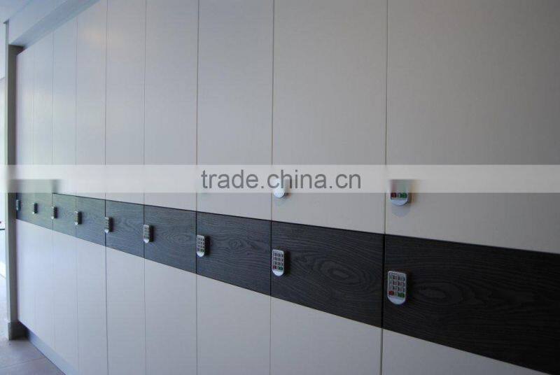 PW210 hotel locker lock, changing room locker lock, apartment cabinet lock