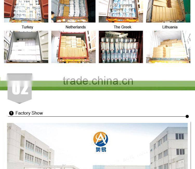 Little Giant agility ladder