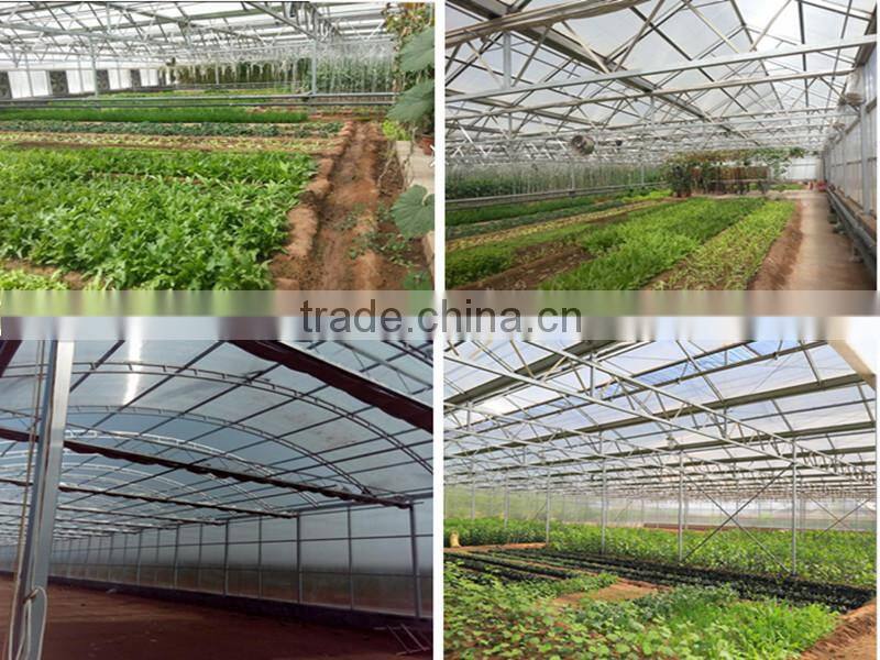 10 years supplier export sun shade net, shade screen for greenhouse, sun block shade netting