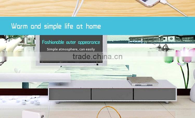 inverter charger transfer switch usb wristband charger(C605)