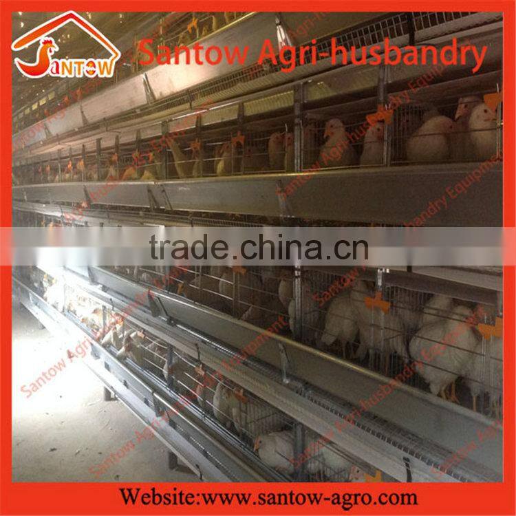 Best price poultry farm equipment/ bird cage poultry cage