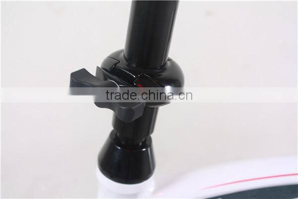 20" folding electric bike with lithium battery
